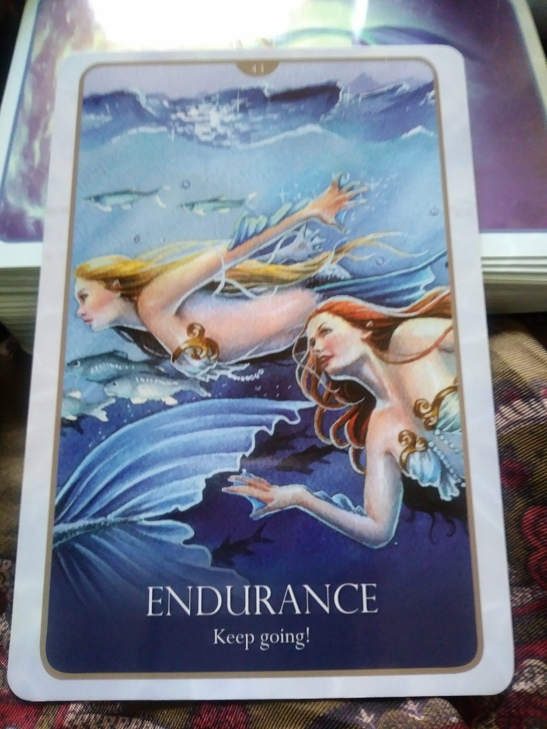 A Message from the Universe - Endurance