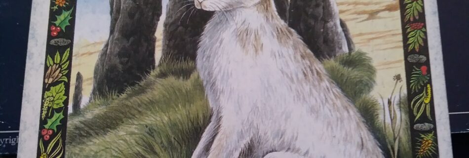 A Message from the Universe - Hare