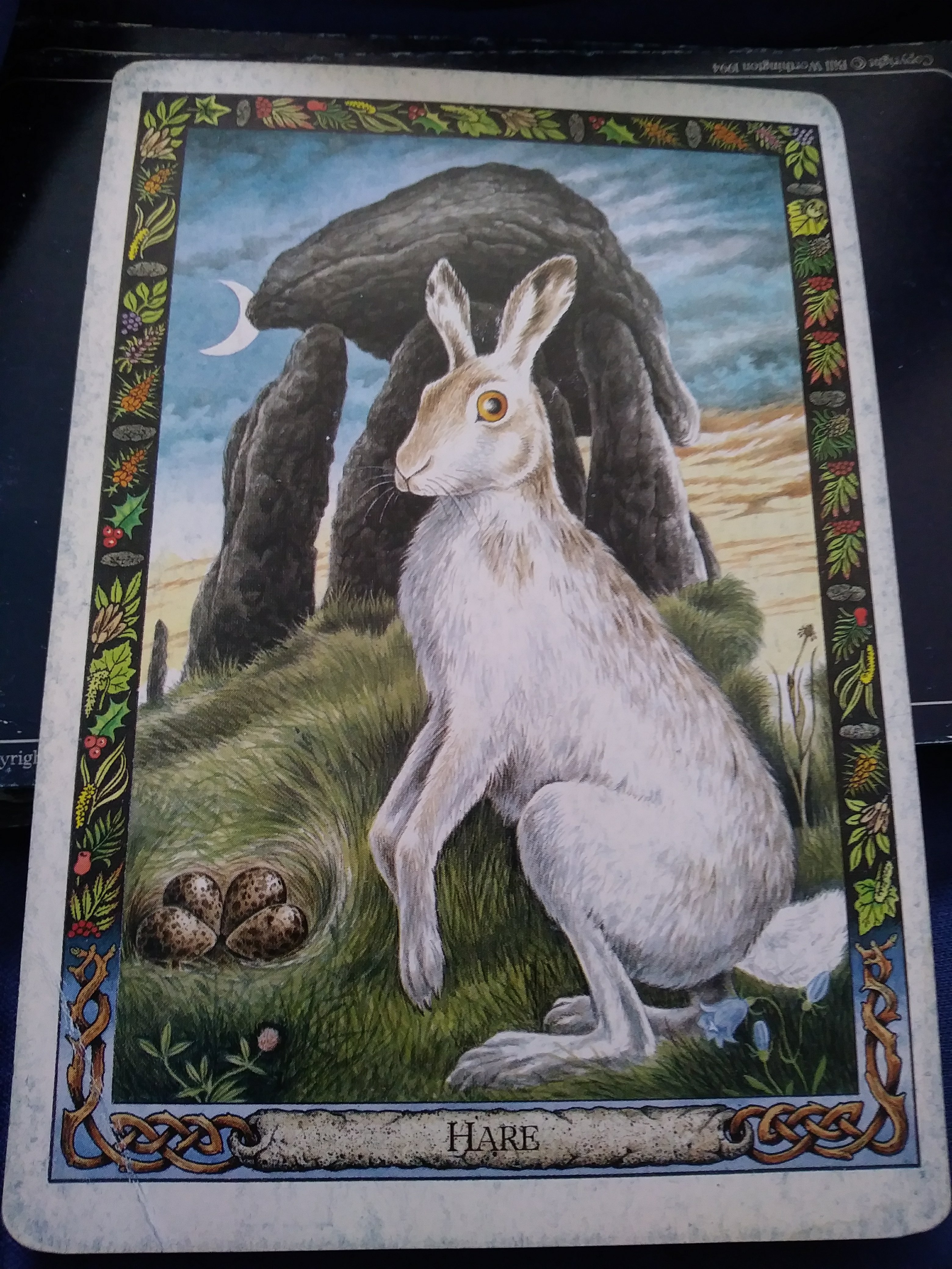 A Message from the Universe - Hare