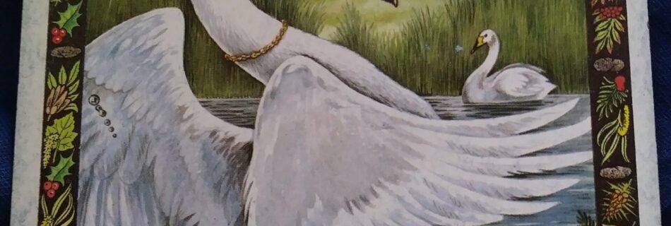 A Message from the Universe - Swan