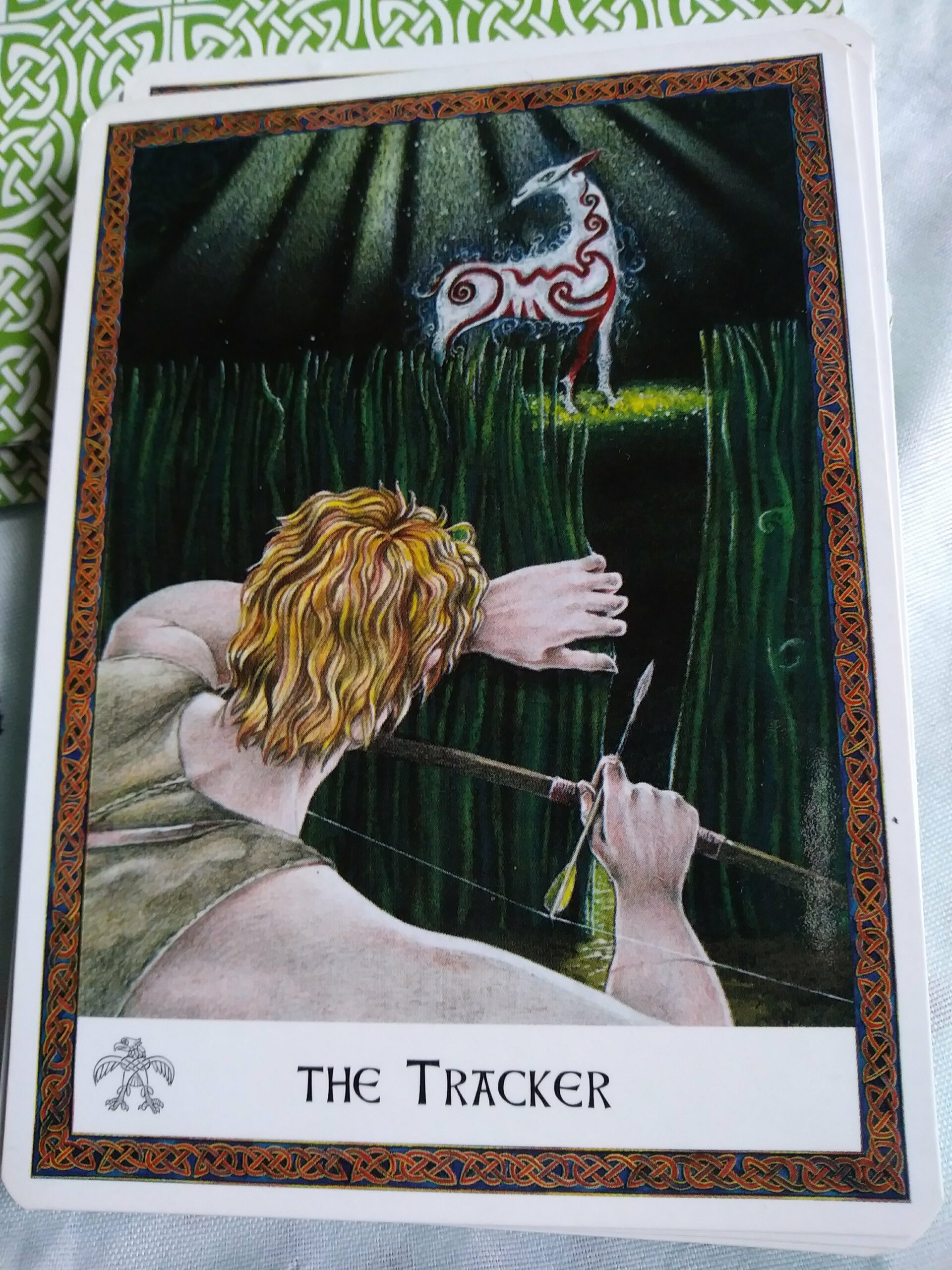 A Message from the Universe - The Tracker
