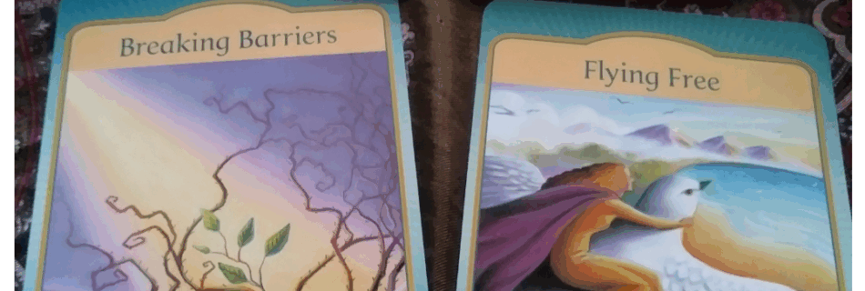 A Message from the Universe - Breaking Barriers & Flying Free