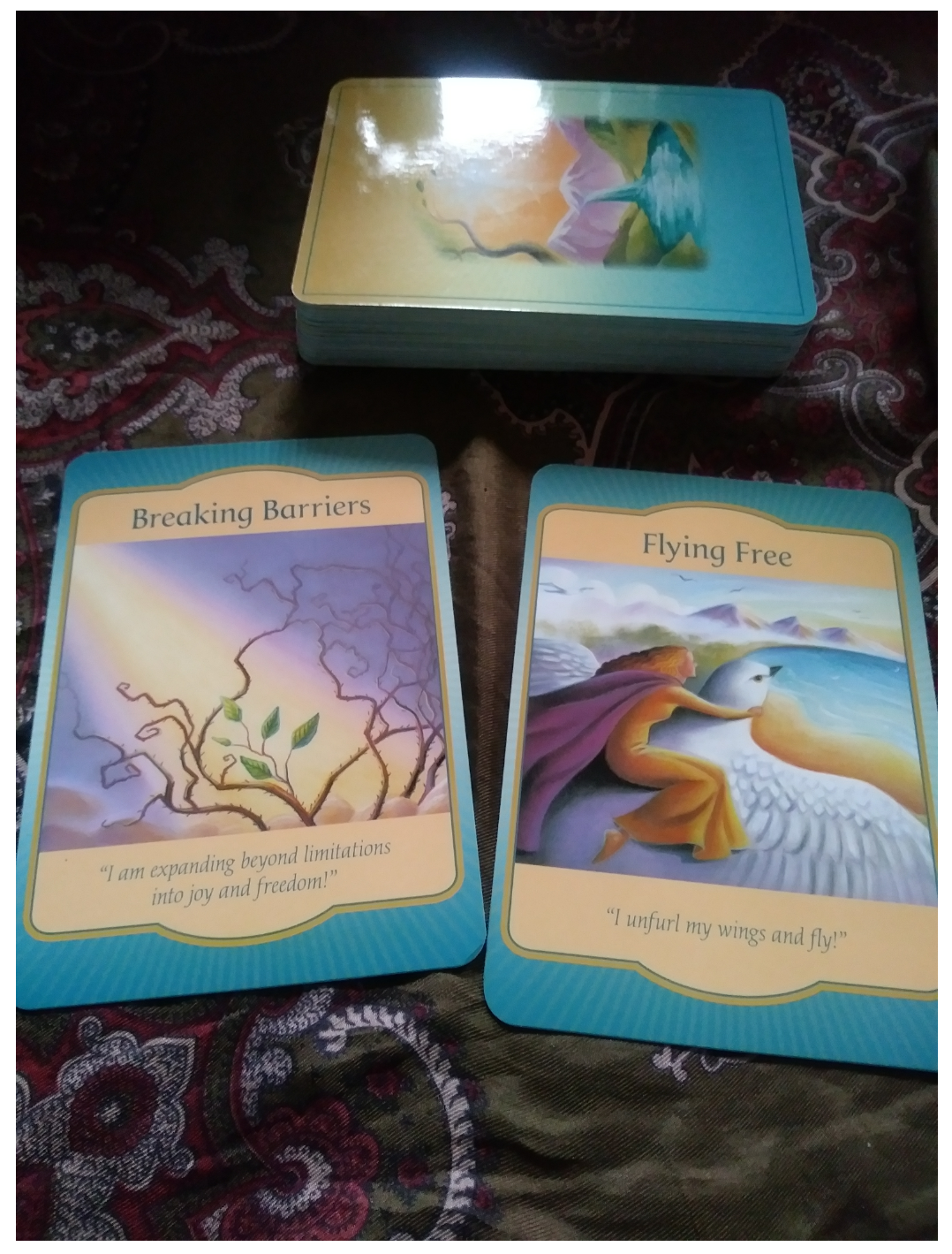 A Message from the Universe - Breaking Barriers & Flying Free