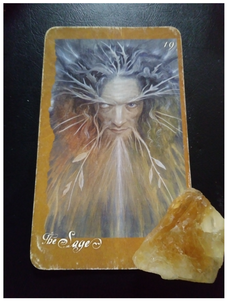 A Message from the Universe - The Sage (reversed)