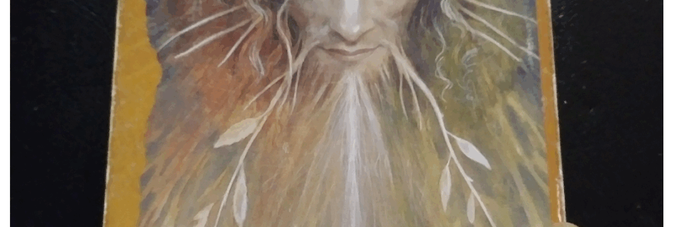 A Message from the Universe - The Sage (reversed)