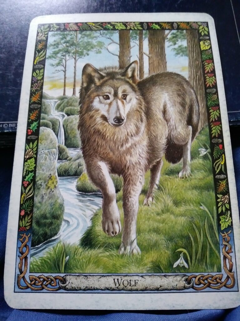A Message from the Universe - Wolf (reversed)