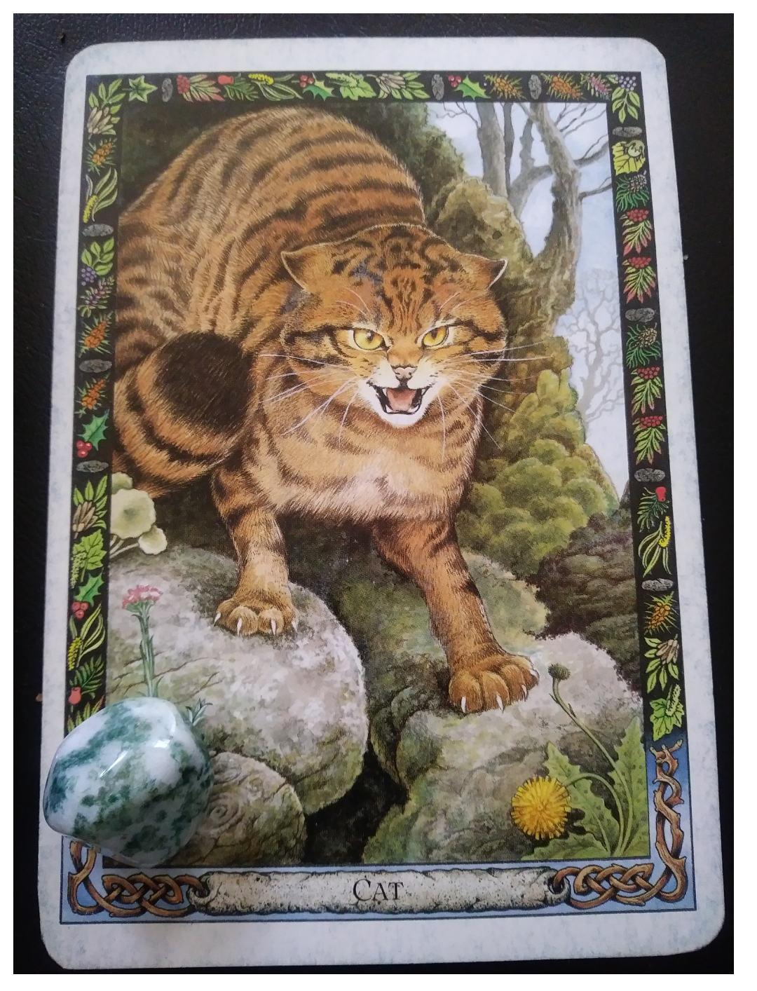 A Message from the Universe - Cat (reversed)
