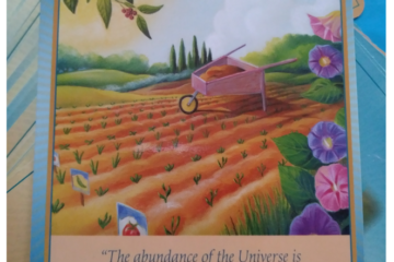 A Message from the Universe - Cultivating Prosperity