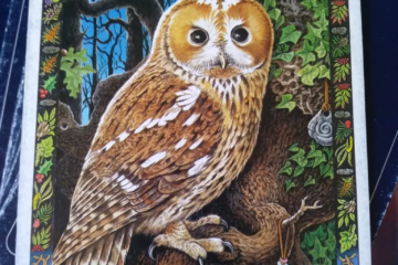 Message from the Universe - The owl reminds us of the importance of turning a disadvantage into an advantage and tells us that detachment is called for at this time.