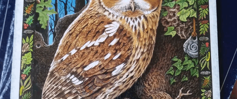 Message from the Universe - The owl reminds us of the importance of turning a disadvantage into an advantage and tells us that detachment is called for at this time.