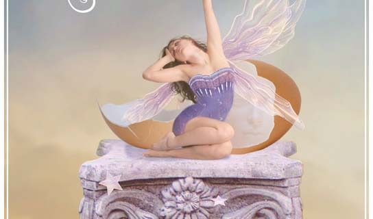 A Message from the Universe - New Life