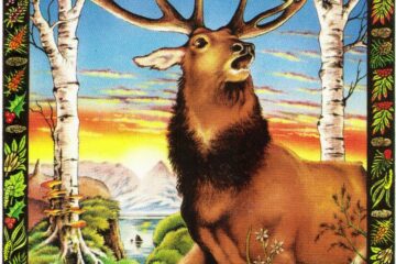 A Message from the Universe - Stag (reversed)