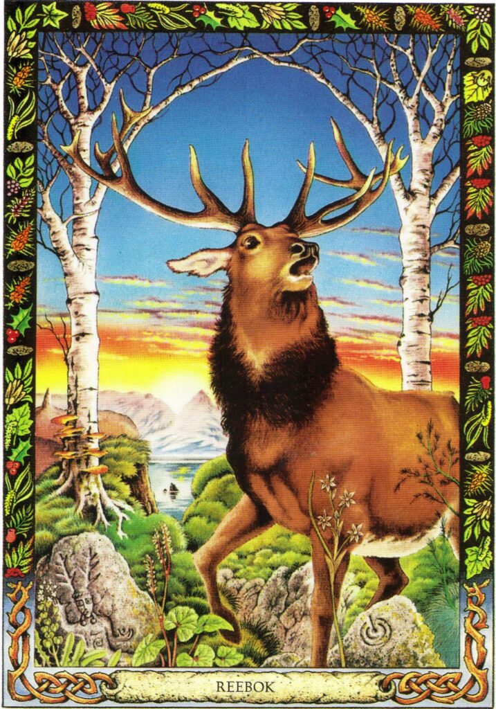 A Message from the Universe - Stag (reversed)