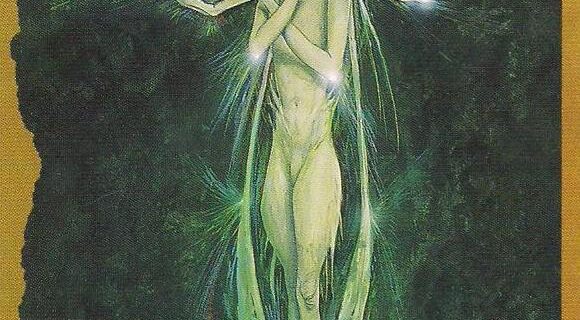 A Message from the Universe - Indi (reversed)