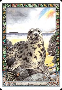 A Message from the Universe - Seal