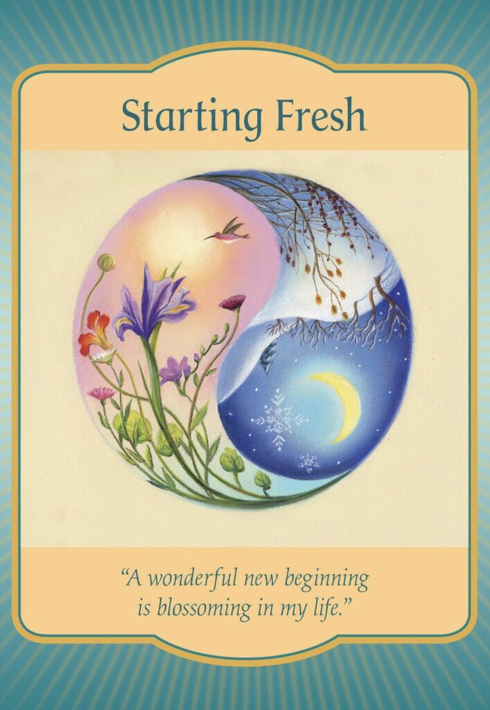A Message from the Universe - Starting Fresh