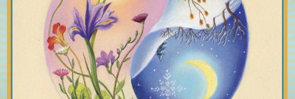 A Message from the Universe - Starting Fresh