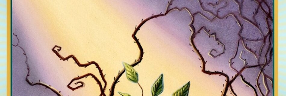 A Message from the Universe - Breaking Barriers