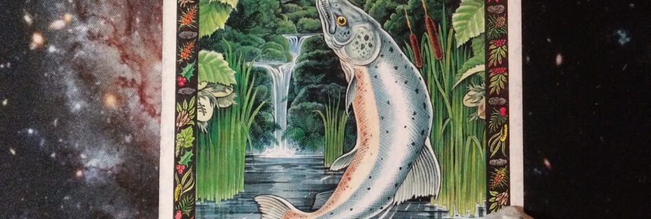 A Message from the Universe - Salmon