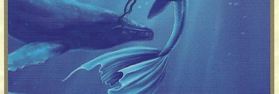 Water Flight, Oracle of the Mermaids
