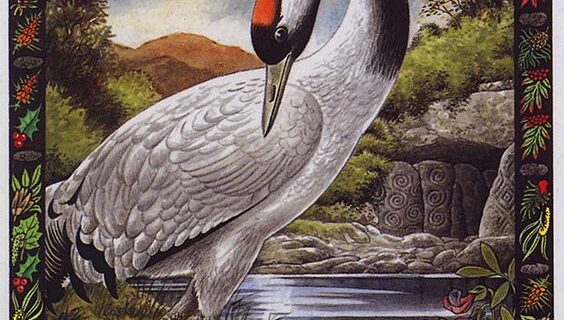 A Message from the Universe - Crane