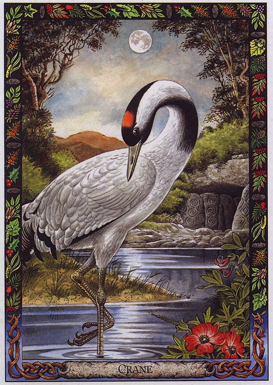 A Message from the Universe - Crane