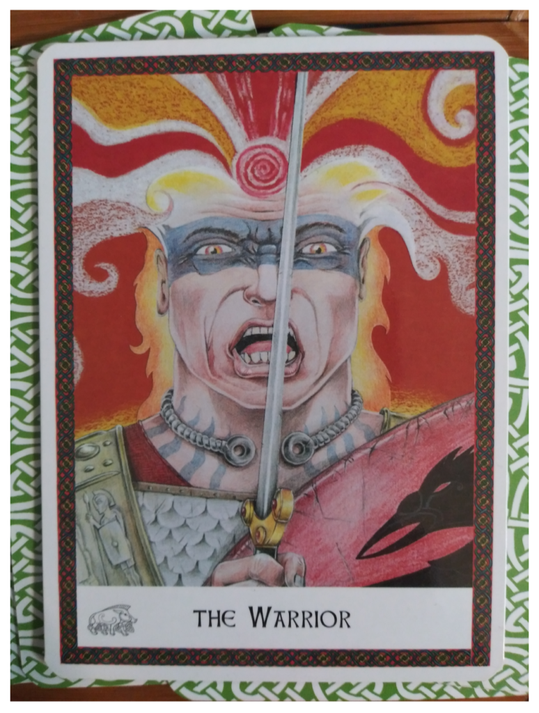 Warrior, Celtic Wisdom Oracle Card