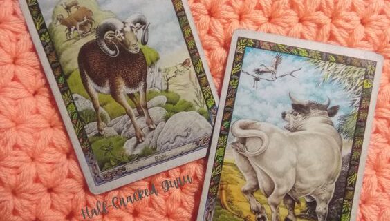 Ram and Bull - A Message for the Collective, Druid Animal Oracle