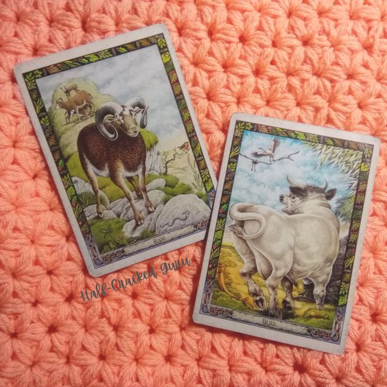 Ram and Bull - A Message for the Collective, Druid Animal Oracle