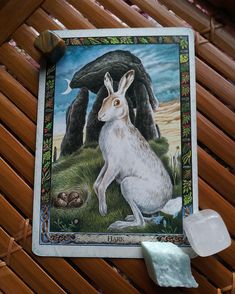 Hare ~ Quick Draw Daily Oracle Card, Druid Animal Oracle