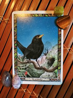 Quick Draw Daily Oracle Card ~ Blackbird, Druid Animal Oracle Card