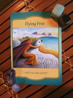 A Message from the Universe - Flying Free