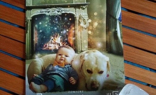 A Message from the Universe ~ Prioritize Your Peace, Elemental Oracle