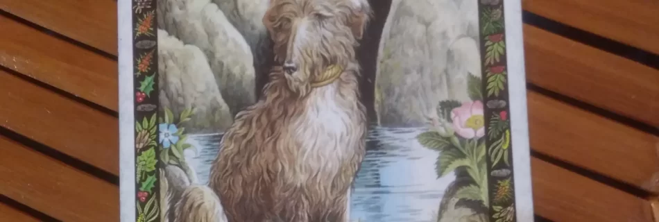 Dog, Druid Animal Oracle Card Message from the Universe