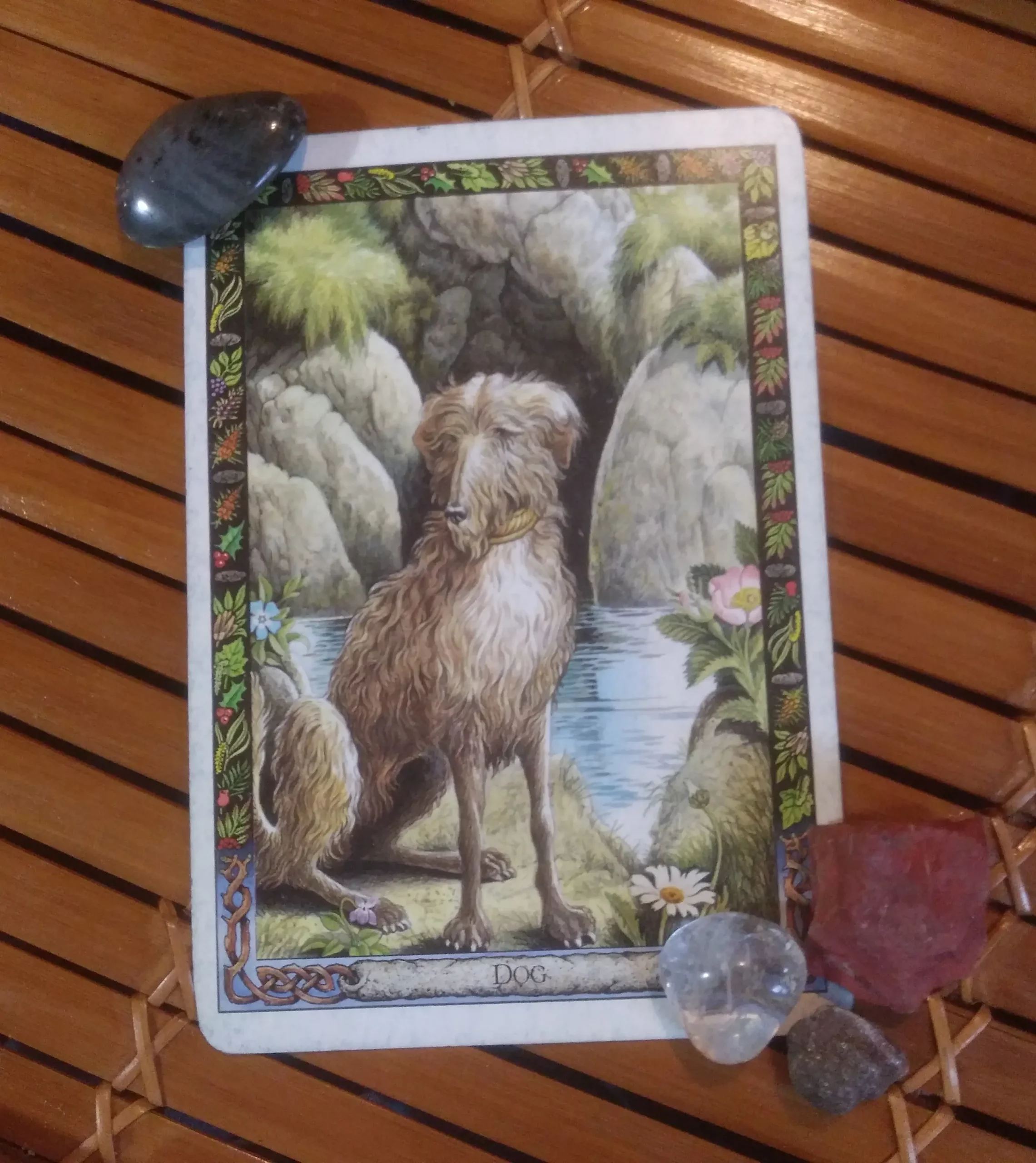 Dog, Druid Animal Oracle Card Message from the Universe