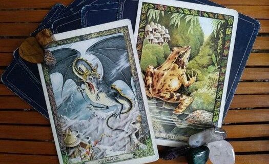 Druid Animal Oracle Cards