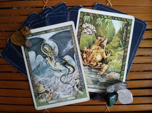Quick Draw Daily Oracle Cards ~ Strength and Sensitivity, Druid Animal Oracle Cards