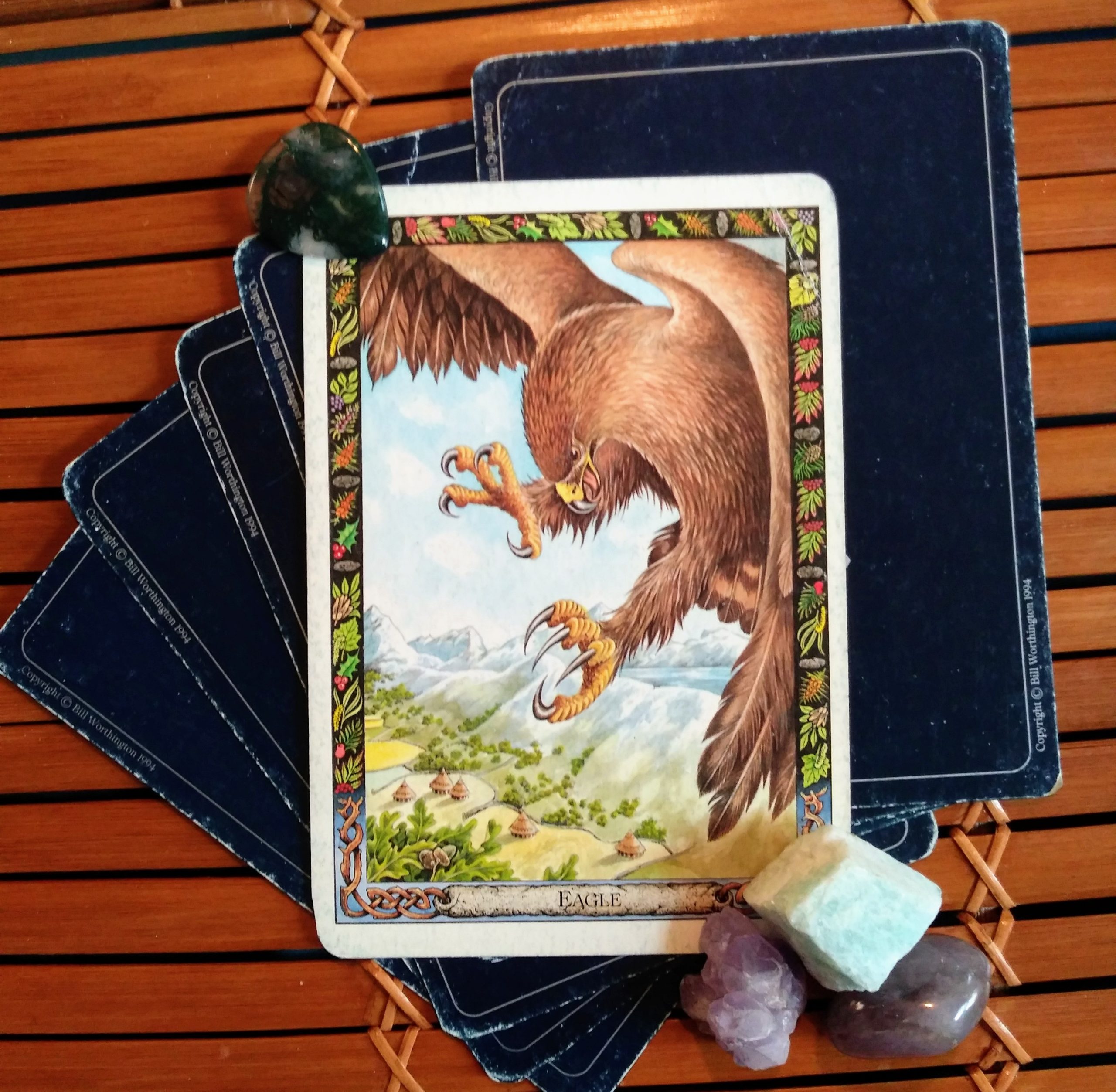 A Message from the Universe ~ A Bird's Eye View, Druid Animal Oracle Card