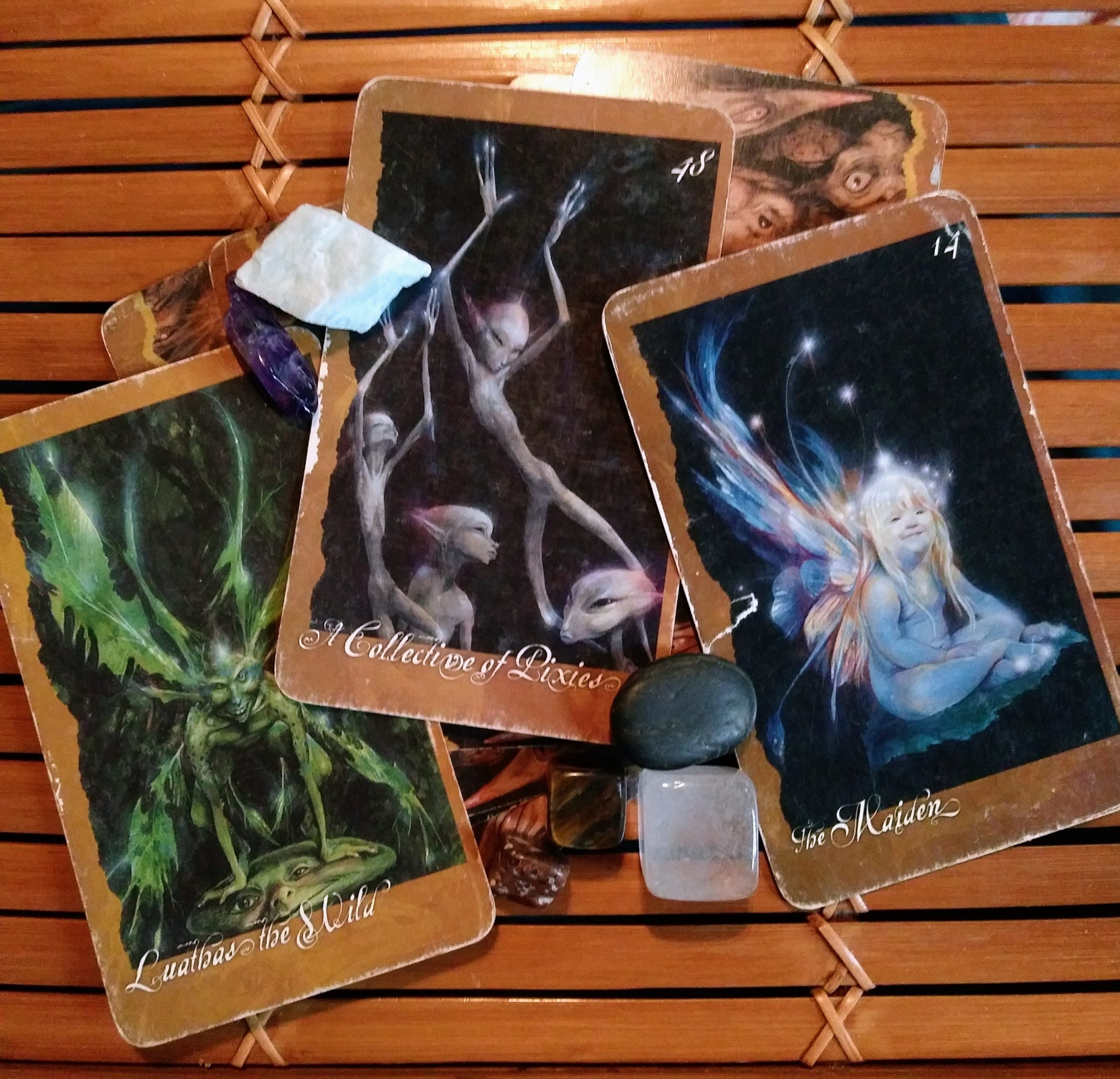Message from the Universe ~ Wild Energy Needs an Outlet, The Faeries Oracle Cards