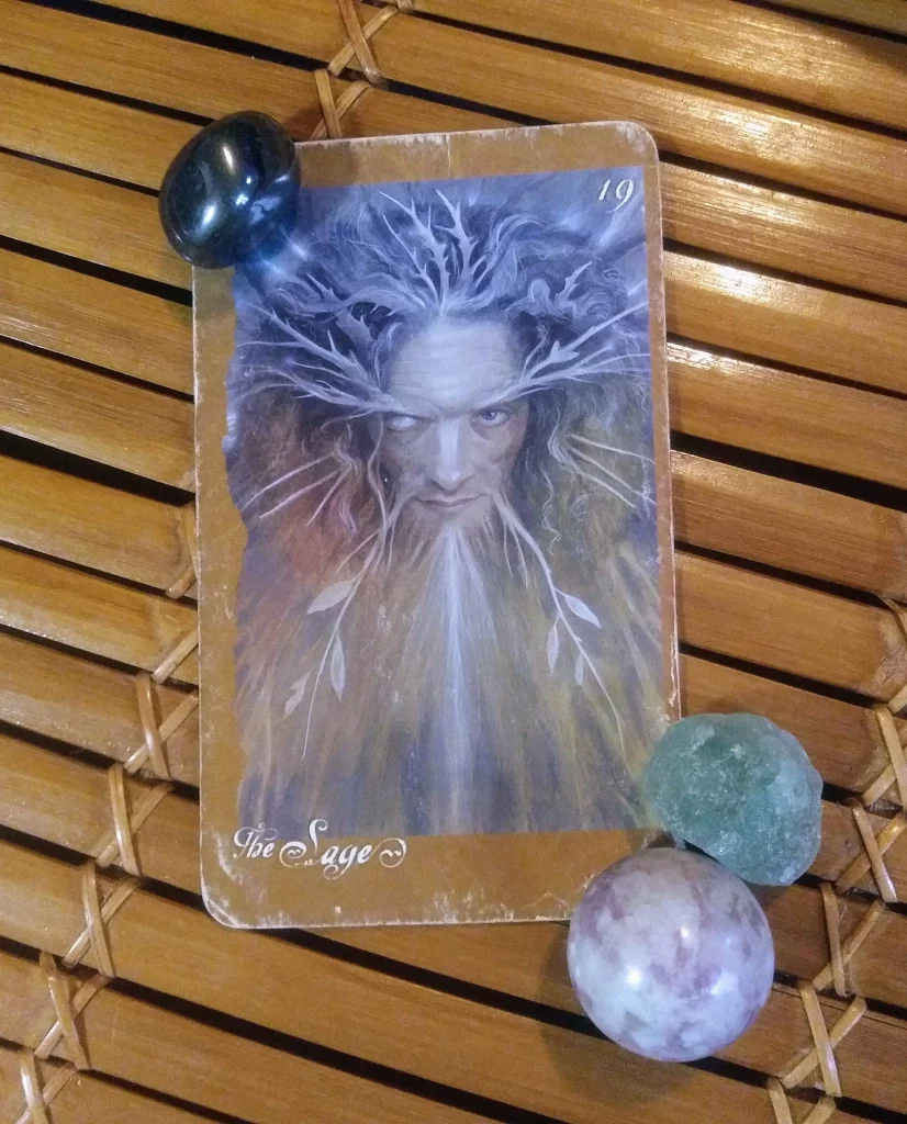 The Sage, Faeries Oracle, Message from the Universe Card