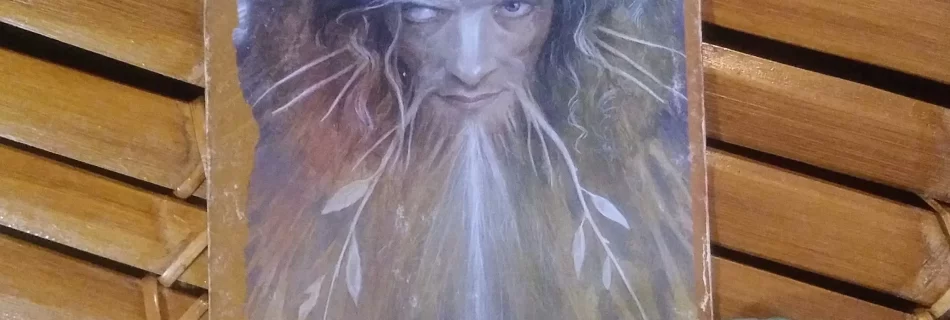 The Sage, Faeries Oracle, Message from the Universe Card