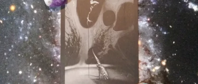 A Message from the Universe ~ Leap Before You Look, Black Tarot Cards