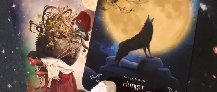 A Message from the Universe ~ Survivor No More, Queen of the Moon Oracle Cards