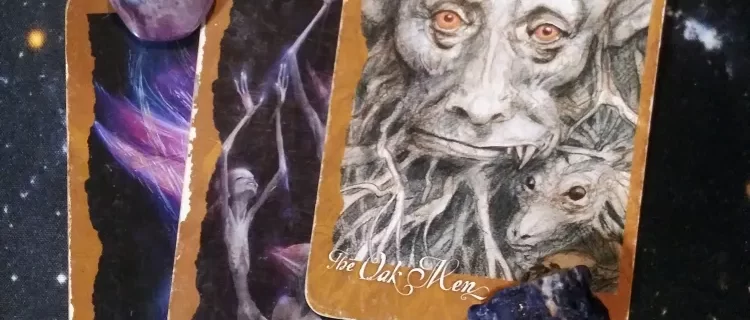 A Message from the Universe ~ Stepping Up for the Team, The Faeries Oracle Cards