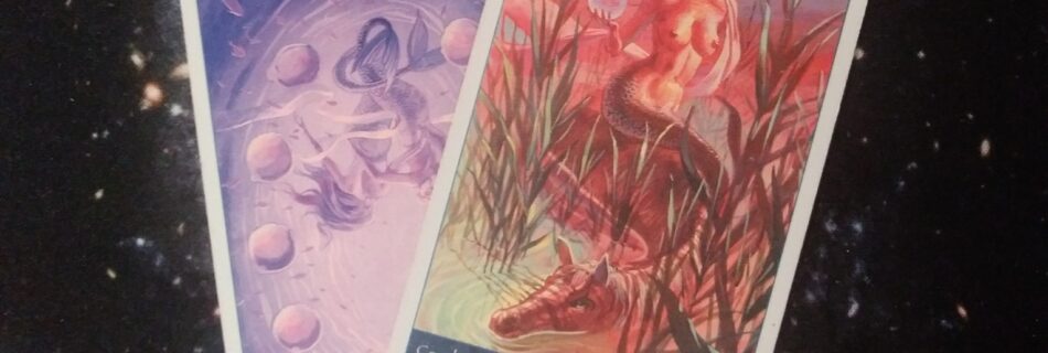 A Message from the Universe ~ Slow and Steady, Multiple Tarot of Mermaids Cards