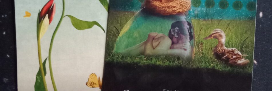A Message from the Universe ~ Beauty & Trust, Multiple Queen of the Moon Oracle Cards