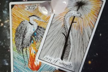 A Message from the Universe ~ You're Not Doing it Wrong, Multiple Wild Unknown Tarot Cards