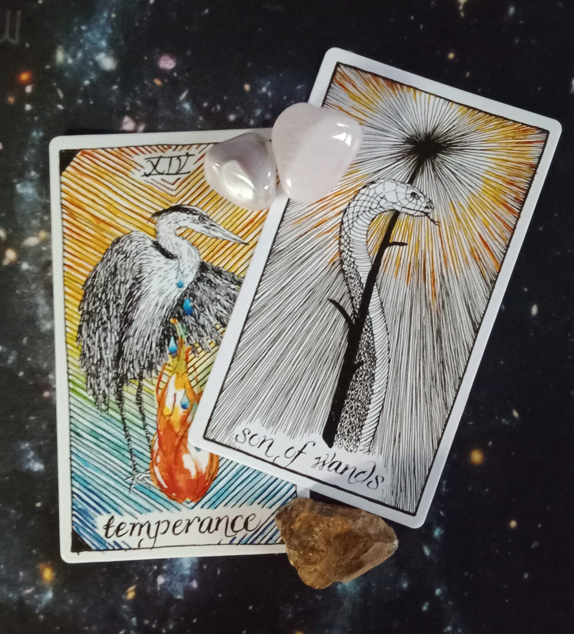 Multiple Wild Unknown Tarot Cards