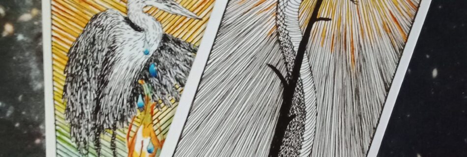 Multiple Wild Unknown Tarot Cards