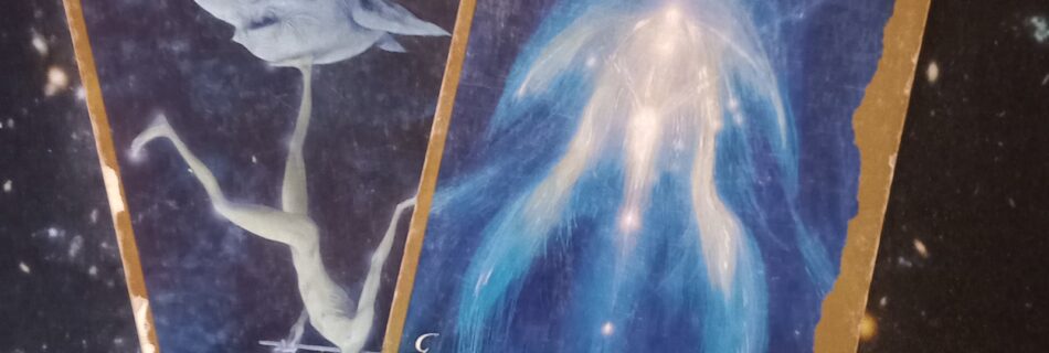 A Message from the Universe ~ Look Before You Leap! Multiple Faeries Oracle Cards